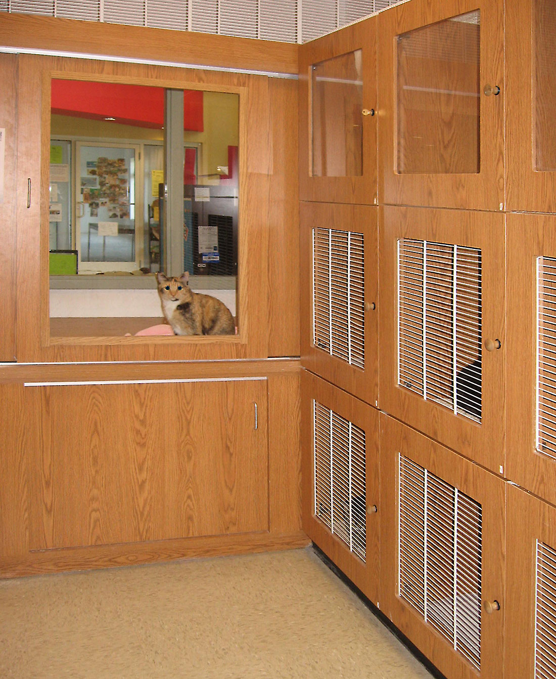 Walkers Pet HoTail Design 3 Architecture