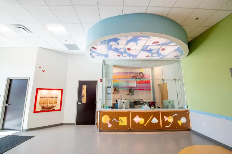 Commercial Interior PAW dog-care designed by Design 3 Architecture